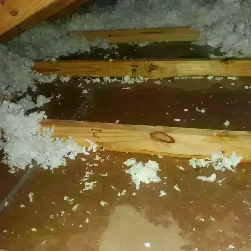 Attic Water Damage in Dade City, FL