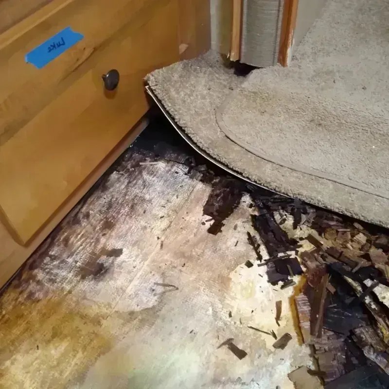 Wood Floor Water Damage in Dade City, FL